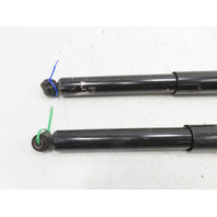 1988 BMW 325i E30 #1336 Shock Strut Pair Rear Raceland Left & Right