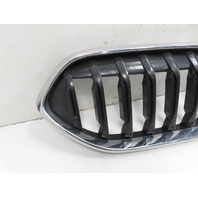 21 BMW F44 228 xi #1339 Grill, Kidney Pair w/ Chrome Surround LH & RH OEM 7476257 7476258