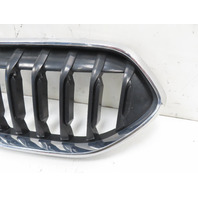 21 BMW F44 228 xi #1339 Grill, Kidney Pair w/ Chrome Surround LH & RH OEM 7476257 7476258