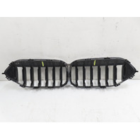 21 BMW F44 228 xi #1339 Grill, Kidney Pair w/ Chrome Surround LH & RH OEM 7476257 7476258