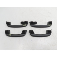 BMW X1 F48 Xdrive 28i Handle Set, Roof Headliner Grip Grab Black OEM