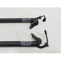 BMW X1 F48 Xdrive 28i Shock Strut Pair Power Trunk Liftgate Tailgate LH RH 51247350837