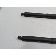 BMW X1 F48 Xdrive 28i Shock Strut Pair Power Trunk Liftgate Tailgate LH RH 51247350837