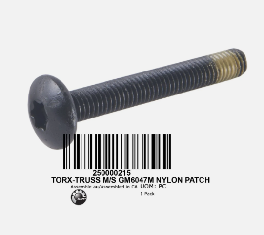 QTY 2 | 05-06 CAN-AM Ski-Doo OEM TORX-TRUSS M/S Nylon Patch Screw 250000215