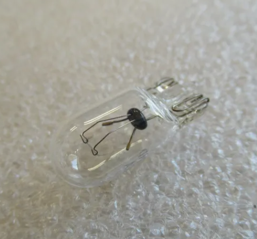 は QTY 14 | 1989-2024 Yamaha Marine PWC Outboard Bulb 3GM-83517-00