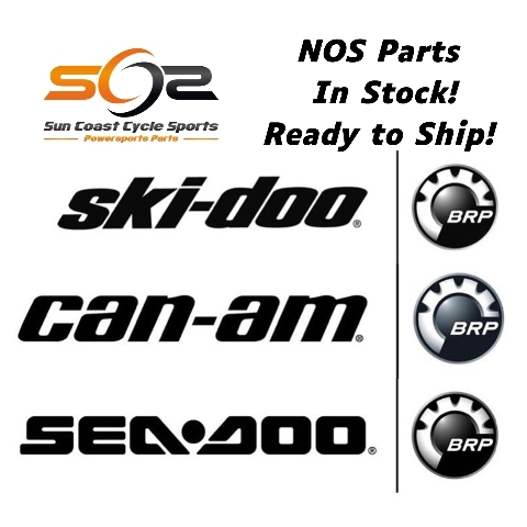 BRP NEW OEM Sea-Doo LHS Mirror Support GTX 4-TEC 269501192