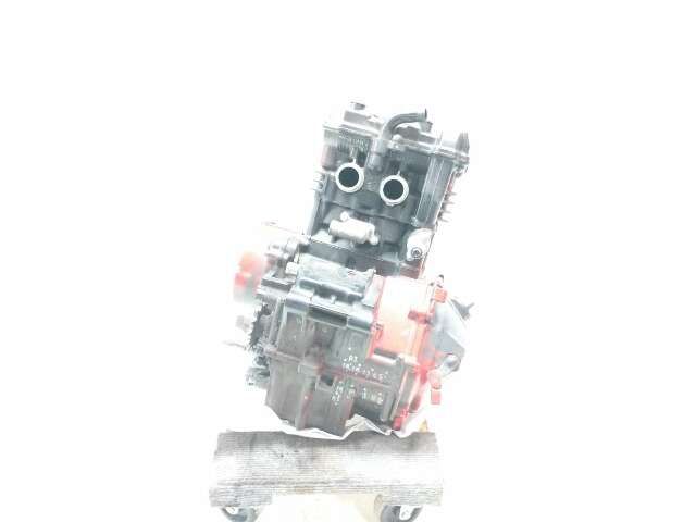 lee EX300g Kawasaki Ninja 300 [2021] price in Indore - November 2025 on road