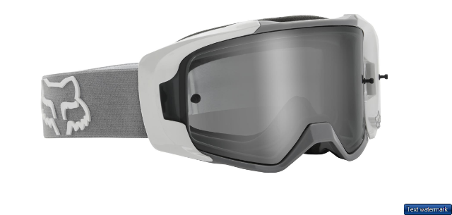 FOX RACING Vue Stray Goggles Gray 25826-172-OS