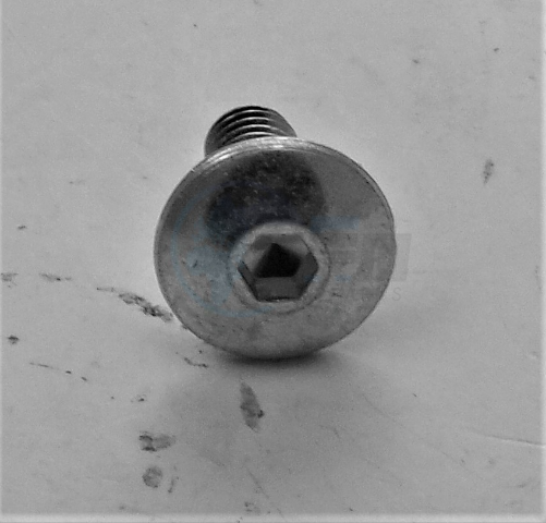 CAGIVA OEM Fixing Screw M6x1x14 Bolt 800055703