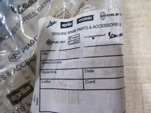 Aprilia Moto Guzzi Chain Stretcher Lever Service Tool 020979Y | eBay