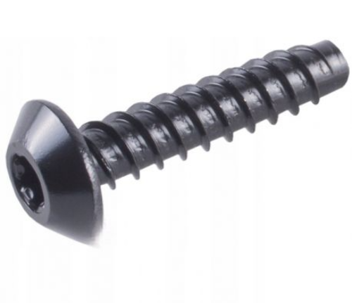 2002-2024 Sea-Doo Can-Am Ski-Doo OEM Plastite Torx Screw 250001194