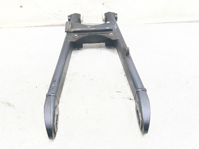 98-01 Triumph Legend TT 900 Rear Swingarm