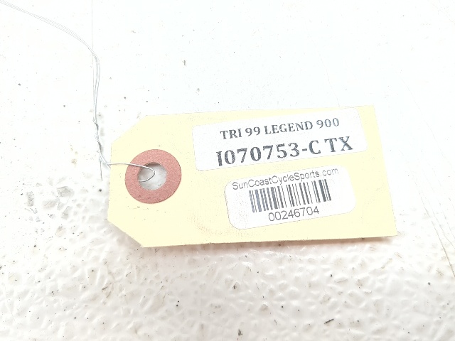 98-01 Triumph Legend TT 900 Rear Swingarm