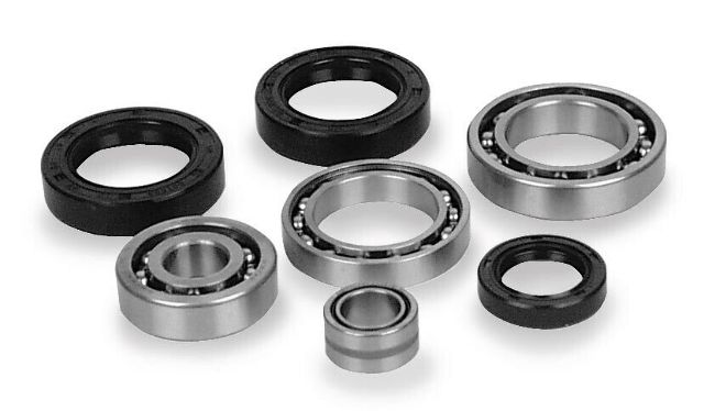 Quad Boss Differential Bearing and Seal Kits Rear 25-2013