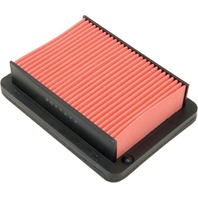 HiFlo Air Filter - HFA4507