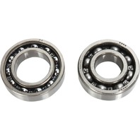 Hot Rods Counter Balancer Bearing Kit - BBK0016