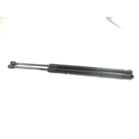 2013-2019 Toyota Sienna Lift Gate Strut/Support 68960-08021