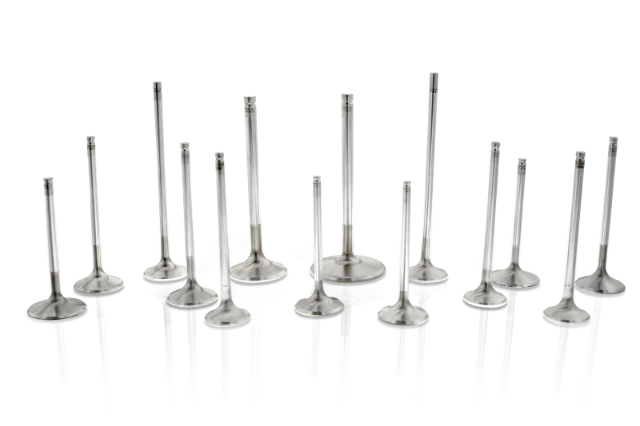 Ferrea Fits Nissan VR38DETT 24V 33.2mm 5.97mm 92mm 24 Deg +1mm Exh Valves